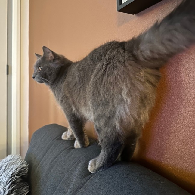 Photo of Cloud