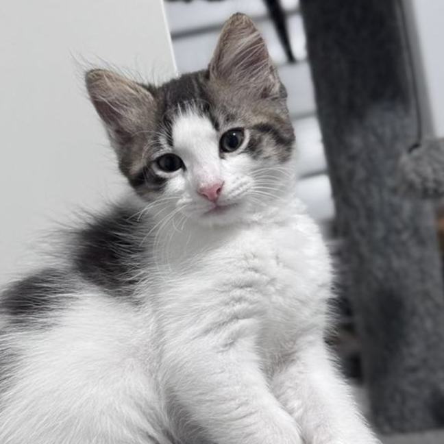 Photo of Pud