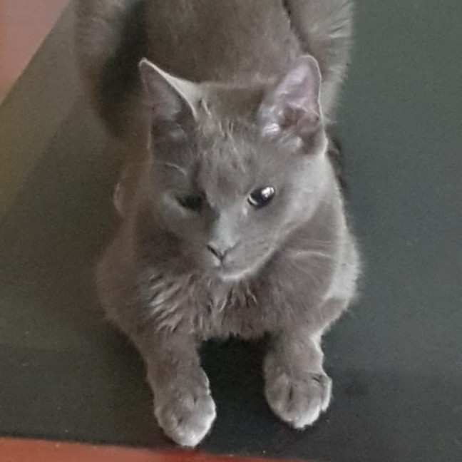 Photo of Little Miss