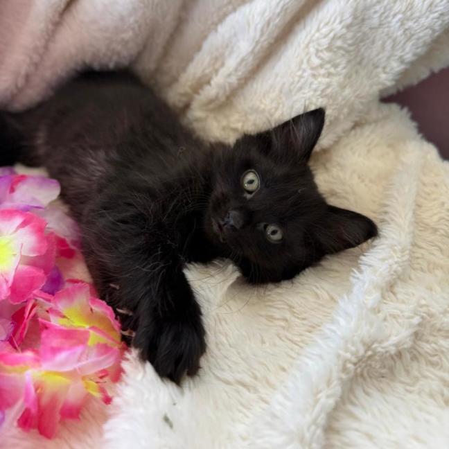 Photo of Harper 🌷