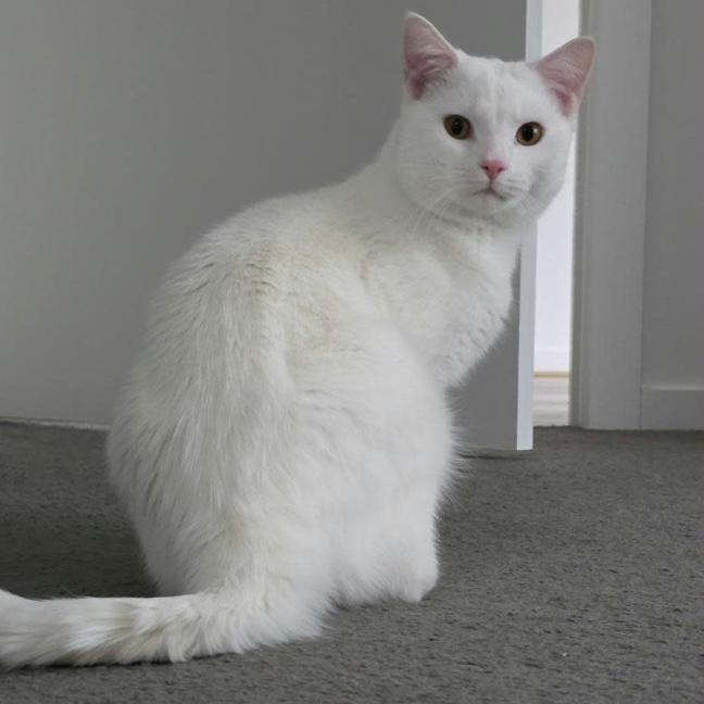 Photo of Olaf