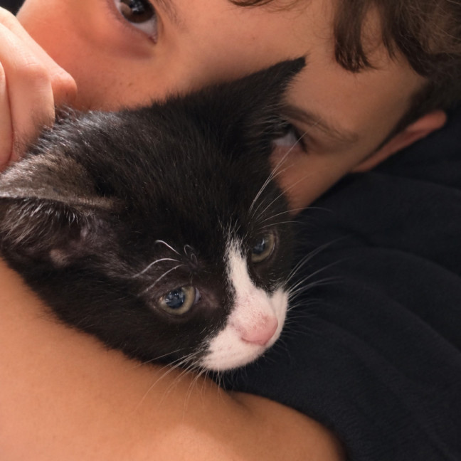 Photo of Archie 🖤🤵‍♂️
