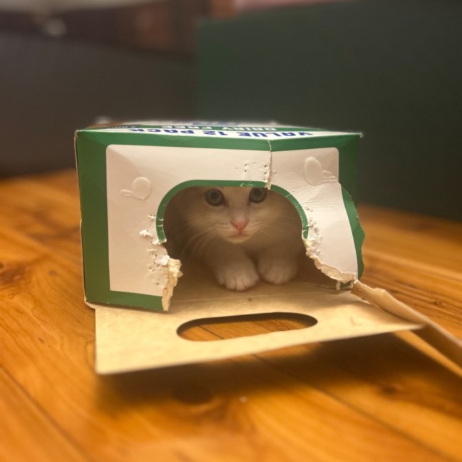 Photo of Champagne And Oj