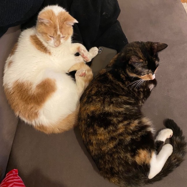 Photo of Lysandra And Aelin