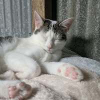 Photo of Dora