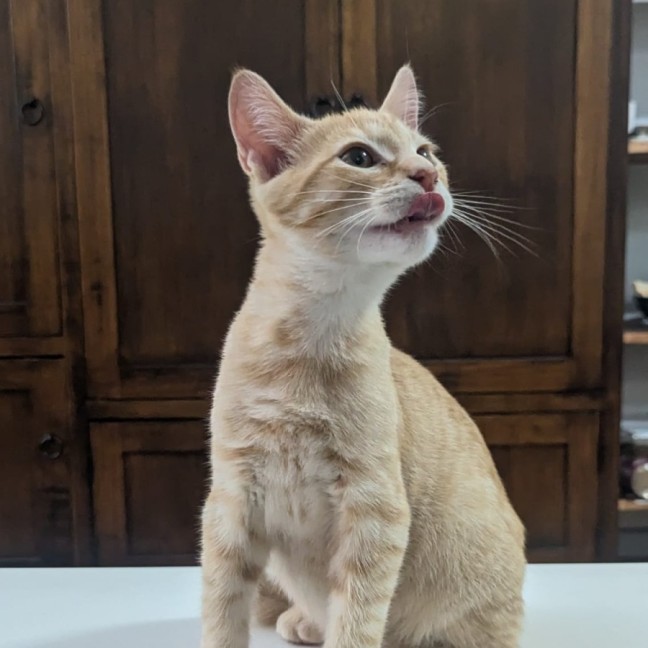 Photo of Gigi