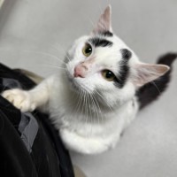 Photo of 🍭 Cleveland 6617 🍭