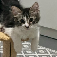 Photo of Zach ❤️😎