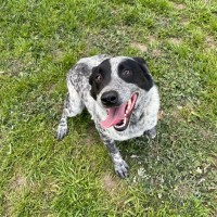 Photo of Digger