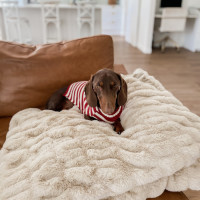 Photo of Henry