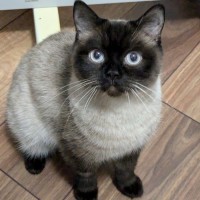 Photo of Nilar