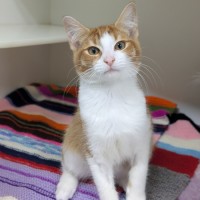 Photo of 🌞 Sunny 6751 🌞