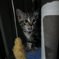 Photo of Nutella Storm 🍦 