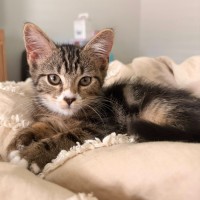 Photo of Candy