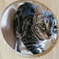 Photo of Tara And Fantasy 