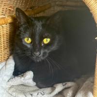 Photo of 🐭 Amara 🐭