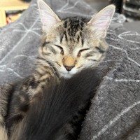 Photo of Red 