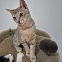 Photo of Audrey 🌹🌹🌹