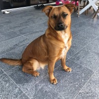 Photo of Muna