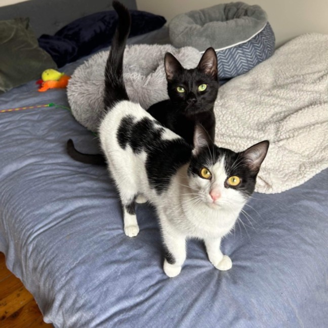 Photo of Eddie & Akira