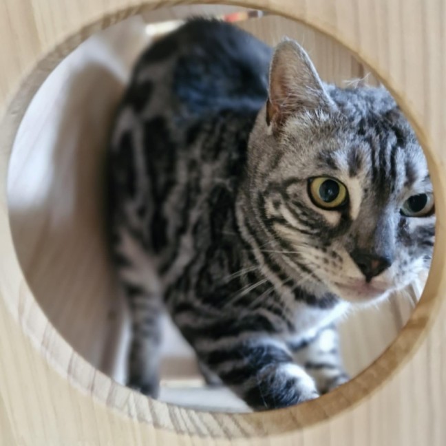 Photo of Tara And Fantasy 