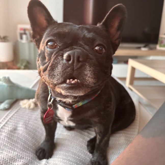Photo of Nelly