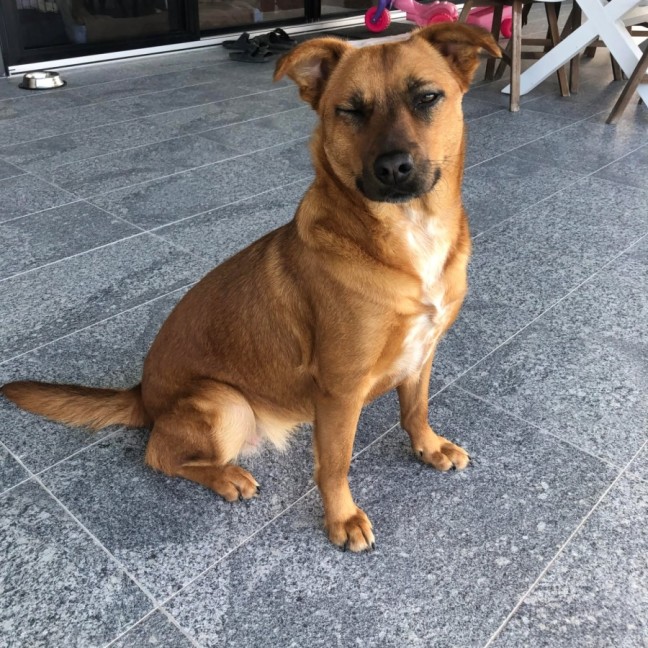 Photo of Muna
