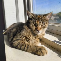 Photo of Holly