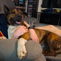 Photo of Rex