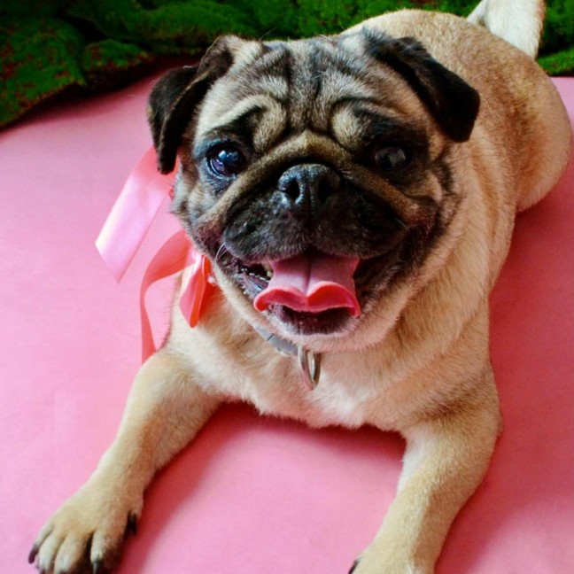 Photo of Cinderella And Ariel