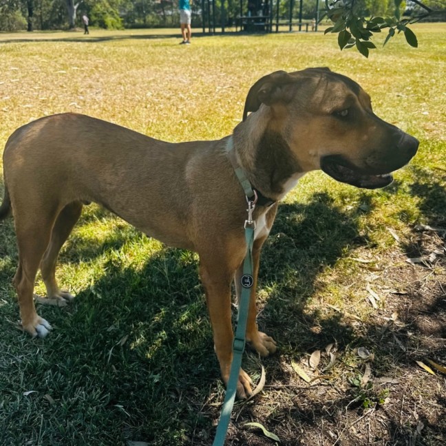 Photo of Barnie   Swarley 