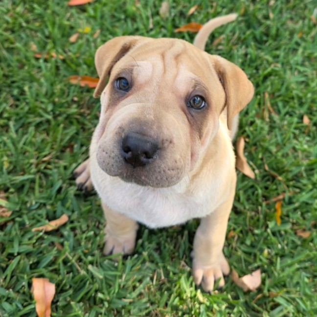 Photo of Stan