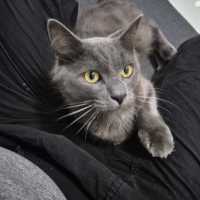 Photo of Simeon (Simmy) 💙