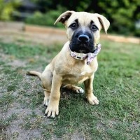 Photo of Coco