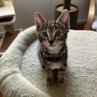Photo of Jesse