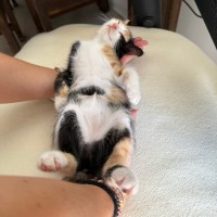 Photo of Wendy