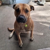 Photo of Lexi