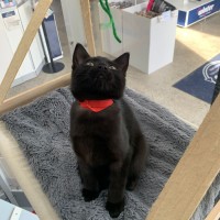 Photo of ❤️ Ravi ❤️