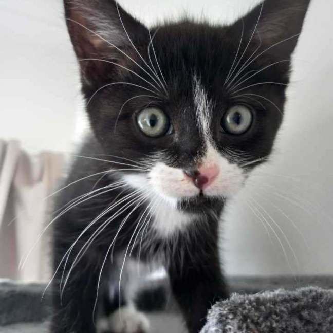 Photo of 🖤 Jimi 🖤