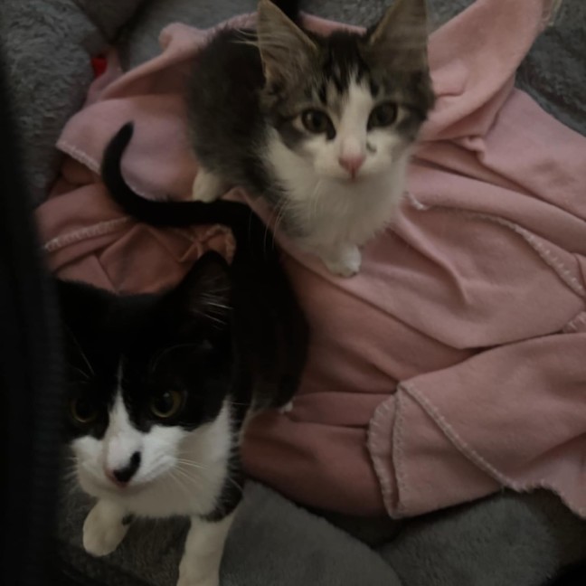 Photo of Bruce And Macey