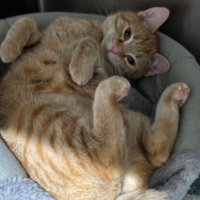 Photo of Bingo