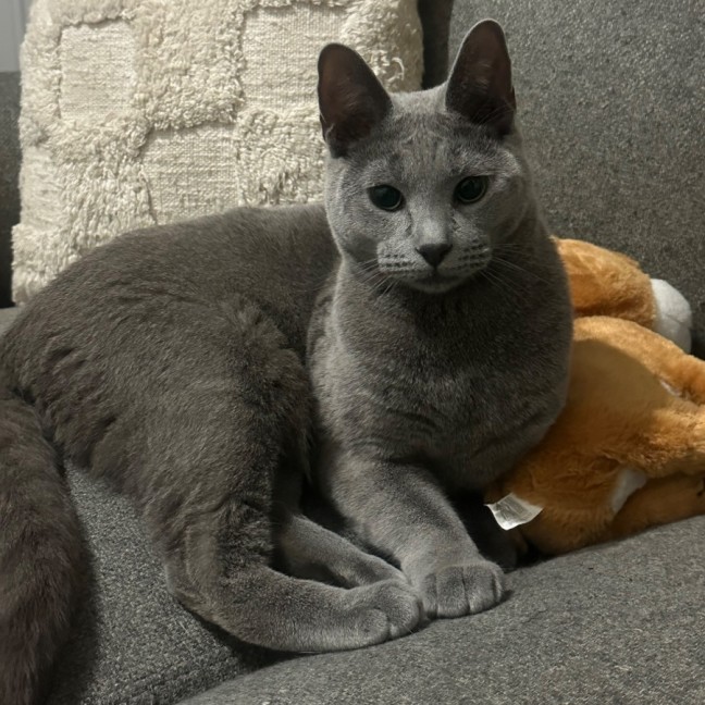 Photo of Rurik 😻💥⭐️