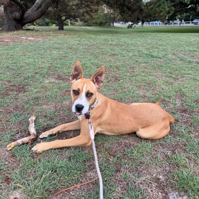 Photo of Salsa
