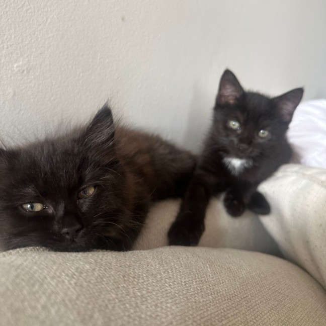 Photo of Jam And Toast