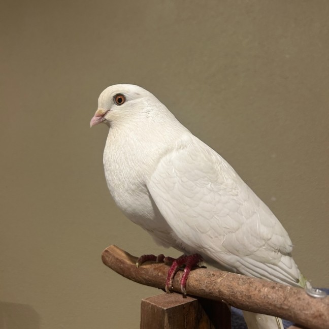 Photo of Valerie