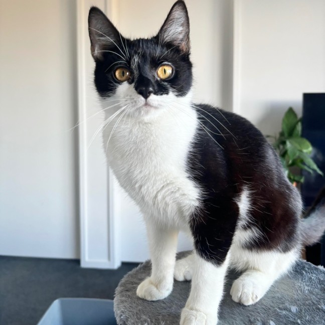 Photo of Sinead & Christy  