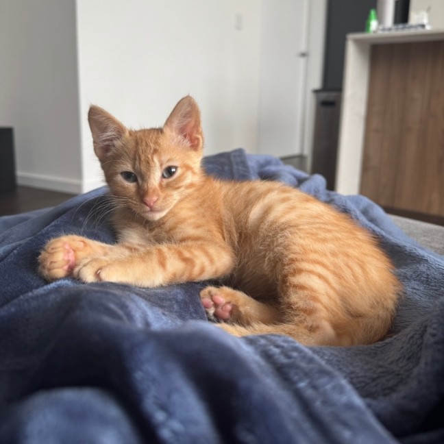 Photo of Pablo And Chapo