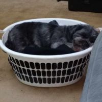 Photo of Bearboo And Melli