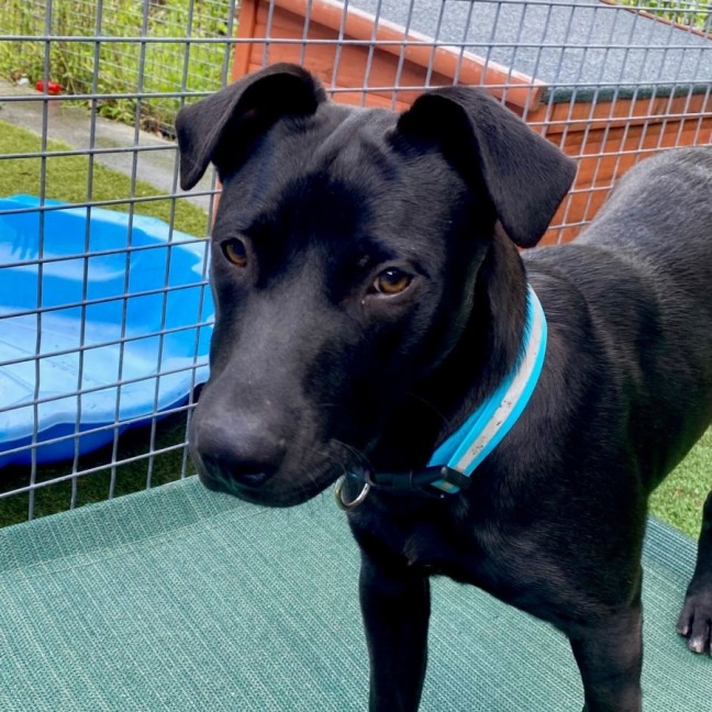 Photo of D1044 Marley