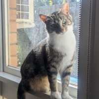 Photo of 🐭 Styx 🐭